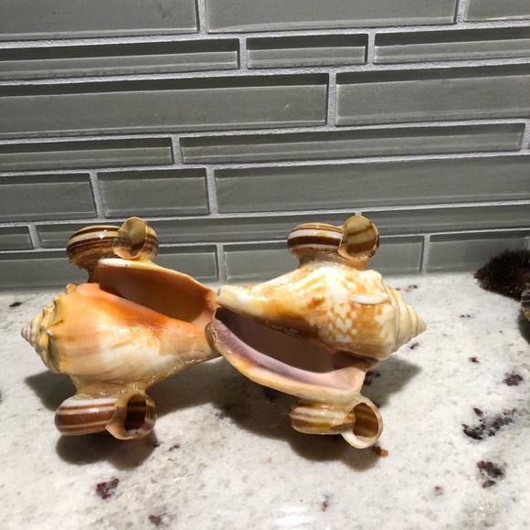 Shell People and 2 Shell Keychains Included - Picture 7 of 16